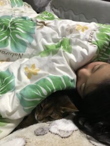 愛猫 歯磨き　みー