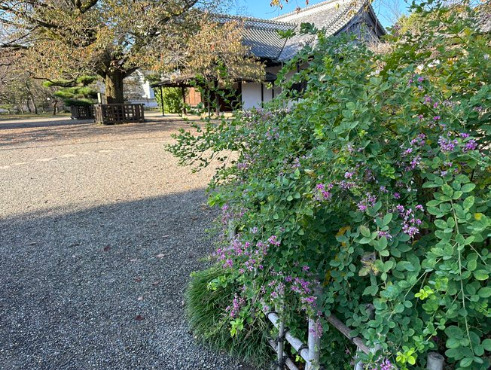 茨城県民の日　弘道館