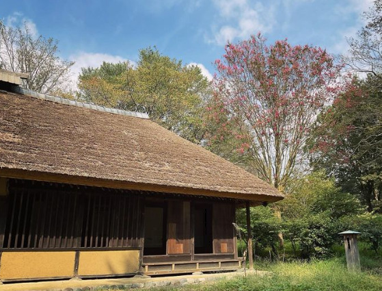 茨城県民の日　茨城県立歴史館