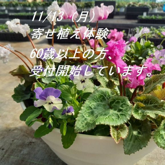 茨城県民の日　茨城県植物園２