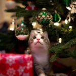 クリスマスツリー　子供　ペット　猫　アイキャッチ