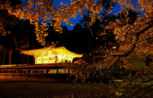 茨城県　初詣　2024　水戸八幡宮