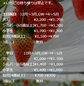 2024年茨城県　いちご狩り　ファーム八千代　料金