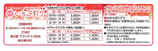 2024年茨城県　いちご狩り　ストロベリーランド筑西　料金