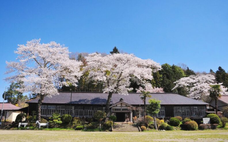 2024茨城県　桜情報　大子町　旧上岡小学校