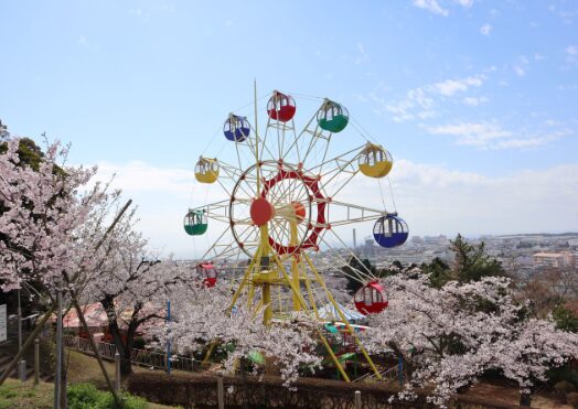 2024茨城県　桜情報　日立かみね公園