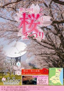 2024年　茨城県　桜情報　たかはぎ桜まつり