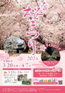 2024年茨城県　桜情報　土浦さくらまつり