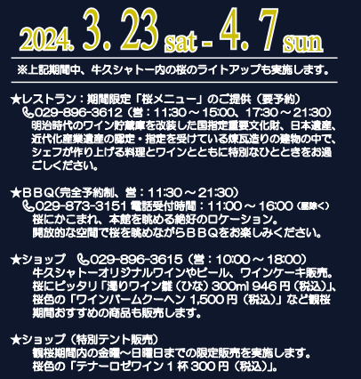 2024年茨城県　桜情報　牛久シャトー　イベント