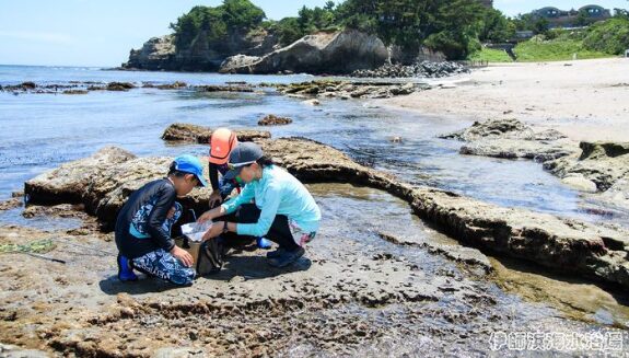 2024年　茨城県　海水浴場　海開き情報　伊師浜海水浴場２